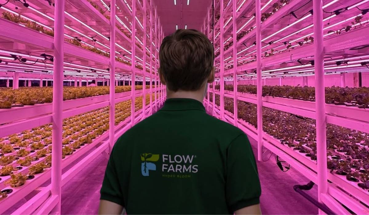 Flow Farms Pioneering Innovative and Sustainable Farming Solutions in Qatar